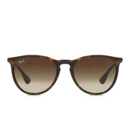 Ray-Ban Erika RB4171 Sunglasses