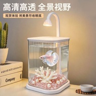 网红斗鱼小鱼缸冰晶石松玉* 石桌面创意生态斗鱼缸景观缸装饰造景Internet Celebrity Fighting Fish Small Fish Tank Desktop Creative Lan