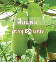 เมล็ดพันธุ์ แฟง ฟักเขียว Fang ฟักแฟง 30 เมล็ด