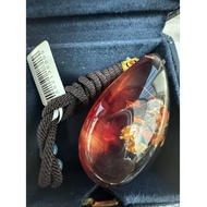 Safflower Ginseng (Flower Amber) Water Drop 80058