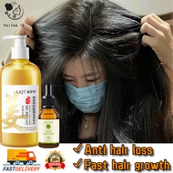【READY STOCK】Hair loss shampoo-Hair growth shampoo-Ginger shampoo 500ML Anti hair loss/Fast hair growth/Anti dandruff/Control oil/Relieve itching/Moisturizing
