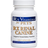 Rx Vitamins Rx Renal Canine Kidney Support for Dogs 120 Capsules - Milk Thistle Extract, Green Tea, 