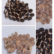 100 Mushroom Buttons gold Black and White KOCK Pattern Buttons 11 mm