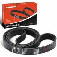 A-Premium Heavy-Duty Serpentine Drive Belt Compatible with Blue Bird, Freightliner & Sterling Truck 