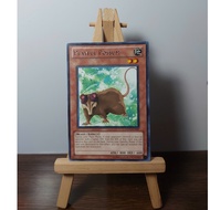 [ Do Lac Shop ] Mint90 Yugioh Monster Playful Possum Cards - DREV-EN007 - Rare