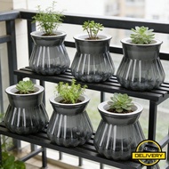 [24H Ship Out]2Pcs Self Watering Plant Pot for Indoor Outdoor | Transparent Durable Eco-Friendly Des