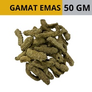 GAMAT EMAS KERING / MENTAH PULAU PANKOR