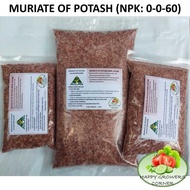 COD Muriate ng Potash 0-0-60 Potassium Chloride Fertilizer