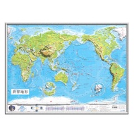 3D Relief World Topographic Map Wall Decal Office Decor Modern Art Hanging Picture Sculpture Map The