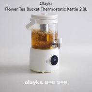 Maker OLKK06 Electric Hot Water Pot Fruit Wine Flower tea pot outdoor Electric Boiling Water Cup Hot
