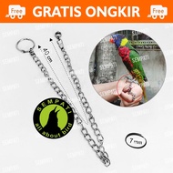 RANTAI BURUNG NURI PELANGI RING BORGOL IMPORT 7 MM RANTAI FF UMBARAN FREE FLYING RANTAI GELANG KAKI