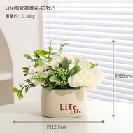 Simulation Green Plant Peacock Leaf Potted Plant Small Ornaments Home Bedroom Desktop Fake Plant Bon