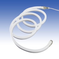 D2H ไฟสาย LED PVC NEON LIGHT เลือกแสง [วอร์ม/ขาว/แดง/เขียว/ฟ้า/เหลือง/สลับสี] แสงสองด้าน ขนาดยาว 10 