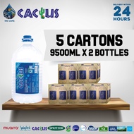 CACTUS Mineral Water (9500ml x 2 Bottles x 5 Cartons)