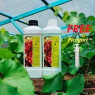 BAJA AB JABIT UNTUK POKOK ANGGUR TIN DAN SESUAI SEMUA JENIS TANAMAN 2L(1 SET)