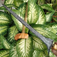 Keris Jalak Makoro Sepuh Original Tuban Winongan