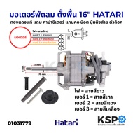 มอเตอร์พัดลม ตั้งพื้น 16″ นิ้ว HATARI ฮาตาริ ทองแดงแท้ แถม คาปาซิเตอร์ แกนคอ น็อต ปุ่มดึงส่าย ตัวล็อ