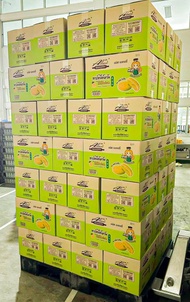 ทาร์ตไต้หวัน ไส้สับปะรด ตรา Alices Bakery