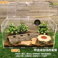 Adult Beetle Unicorn Breeding Box Pet Box Acrylic Spider Gecko Stag Beetle Landscaping Climbing Pet