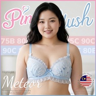 『Ship from MY』Japanese Plus Size Underwire Bra Meteor Rain Icy Ribbon Lace Cute 大码内衣 75B 80B 80C 85B