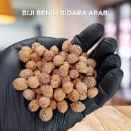 biji benih pokok bidara arab/ sidr/ (sebiji)