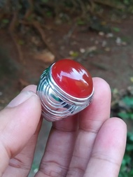 natural bacan obi merah garansi asli