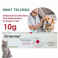 DERMYL Obat Anti Kutu Bakteri Jamur Telinga Anjing Kucing Earmites Vet Vetoquinol Untuk Kitten Puppy
