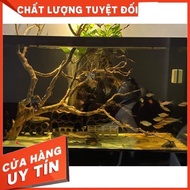 Ceramic Toys for Pleco and Longfin Fish..- - [INNOVATION Due TO TRANSPORTATION 100% COMMITMENT]