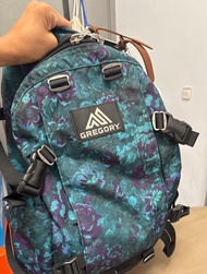 Gregory 藍花 24L 8成新