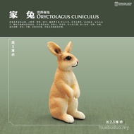 Snow Dwarf Rabbit German Ear Rabbit Rabbit Animal Child Little White Rabbit Simulation Model Gray Bl