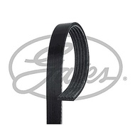 Front Engine Belt BMW X5 E53 4.4i 4.6is M62 2000-2003 TOYOTA CELICA ST202 ST205 3SGE 3SGTE 2.0 16V. 