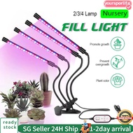 [SG Stock]LED USB Plant Grow Light Full Spectrum Indoor Hydroponic Veg Flower Lamp 3 Mode With Contr