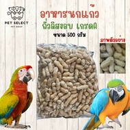 [500กรัม] อาหารนก ถั่วลิสง Peanut  ถั่วลิสงอบ อาหารสำหรับ นก นกแก้ว นกแก้วแอฟริกันเกรย์ นกแก้วซันคอน