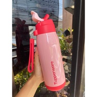 !! Cool WARMIE BOTTLE 510ml | Tupperware thermos