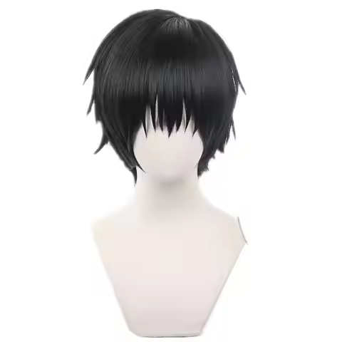 Anime Jujutsu Kaisen Toji Fushiguro Cosplay Wig Short Black Heat Resistant Synthetic Hair Wigs
