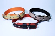 Collar dog M - kalung anjing dog collar kalung doggy collar anjing