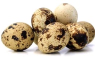 Telur puyuh 1/2kg telor puyoh 500gram (APG93)
