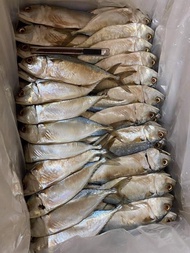ปลาทูหัวตัด ขายเป็นกิโล 1 โลมี ประมาณ 15-20 ตัว แบบเค็ม ชั่งเป็นกิโลไมไดัพันตัวปลา