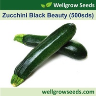 Zucchini (Japanese Cucumber) Black Beauty Seeds (500sds) 櫛瓜：黑美人 Timun Jepun Benih Organik Vegetable Seeds