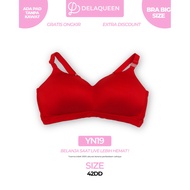 Delaqueen | Bra Jumbo Size Bra 42DD YN19
