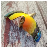 Lenses for Oakley Radar Ev Path Sunglasses