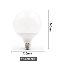 Fast Delivery 30W 20W 15W E27 LED Bulb 220-240V G80 G95 G120 Energy Saving Global Light Lampada Ampo