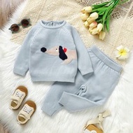 2pcs Baby/Toddler Blue Sweater Set, Round Neck Long Sleeve Pullover + Knitted Long Pants, Cute Puppy