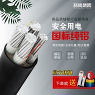 National Standard YJLV Aluminum Cable - Multi-core (2 to 5) Outdoor Wiring Set [10/16/25/35mm²]