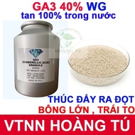 Gibberellic Acid 40% (GA3) NICE FORM - PACKAGE OF 10 GAM, 20 GAM