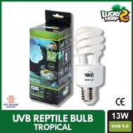 Lucky Herp Reptile UVB Compact Fluorescent Lamp 13W UVB 5.0 CFL UVB Lamp Bulb UVA/UVB Reptile Lamp
