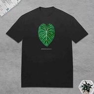 植物 錦緞蔓綠絨 觀葉植物 T恤