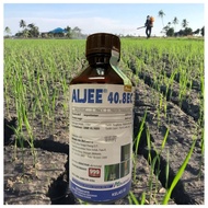 [ORIGINAL] 1L ALJEE 40.8EC ADVANSIA / Racun Kulat/ Pekatan Teremulsi(EC)/ Karah Daun/ Karah Tangkai 