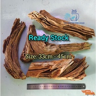 【Ready Stock】Mangrove Driftwood for Aquarium Decoration (1pc) – Size 33cm – 45cm / Kayu Hiasan untuk Akuarium