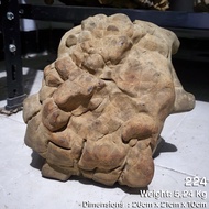 SUISKI STONE NATURAL STONE UNIQUE STONE SUISKI DISPLAY STONE ORIGINAL SUISKI STONE (4.18kg - 6.6kg)